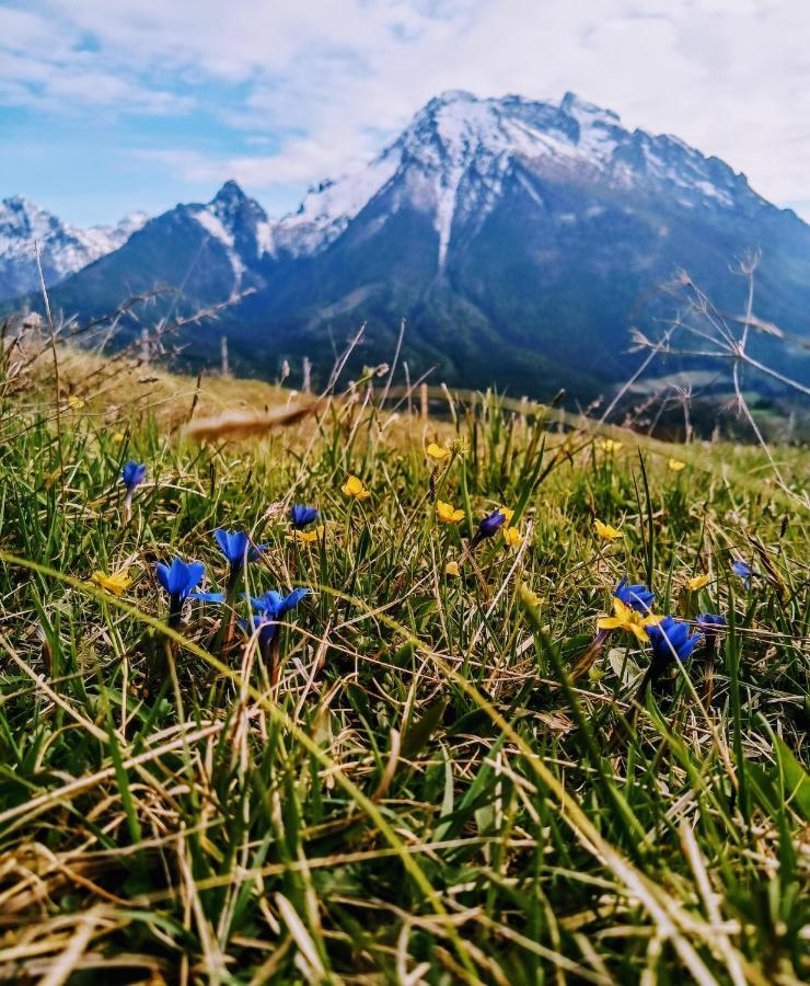 Haus Schwarzeck Διαμέρισμα Ramsau bei Berchtesgaden Εξωτερικό φωτογραφία